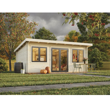 Maison de jardin en bois avec fenêtres et double porte dans un jardin