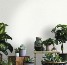 Ambiance décorative avec diverses plantes d'intérieur sur une table et des cubes en bois