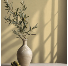 Vase décorative avec branche d'olivier sur table