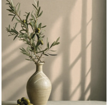 Vase décorative avec branche d'olivier et olives sur une surface