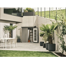 Scène de jardin avec abri de jardin, mobilier de terrasse et plantes