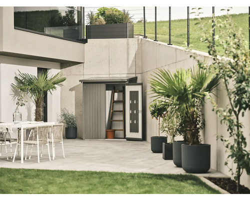 Ensemble porte biohort WoodStock 230 210x172,5 cm gris quartz métallique Scène de jardin avec abri de jardin, mobilier de terrasse et plantes