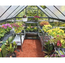 Serre avec étagères et diverses fleurs en pots.