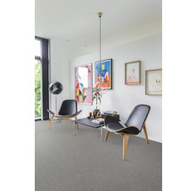 Salon avec moquette, fauteuils et décoration