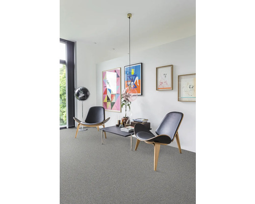 Salon avec moquette, fauteuils et décoration