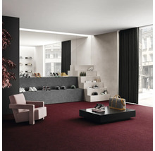 Intérieur avec moquette, fauteuil, table et présentation de produits de chaussures et accessoires