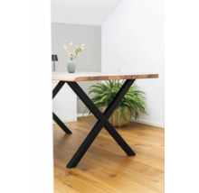 Esstisch aus Holz mit schwarzem Metallgestell und Zimmerpflanze