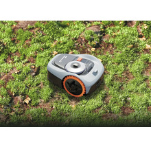 Robot tondeuse sur gazon