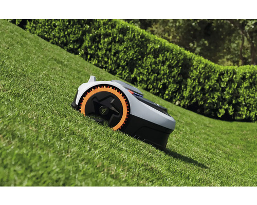 Robot tondeuse à gazon sur une pelouse