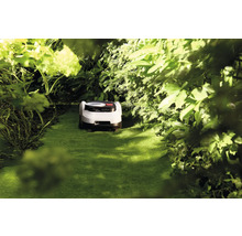 Robot tondeuse dans un jardin vert