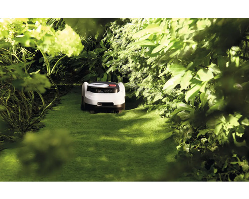 Robot tondeuse dans un jardin vert