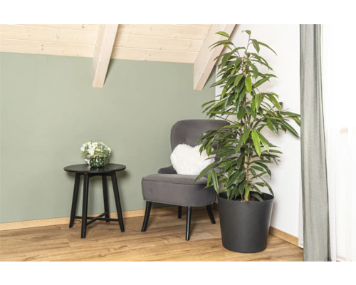 Coin salon avec fauteuil, table d'appoint et plante d'intérieur