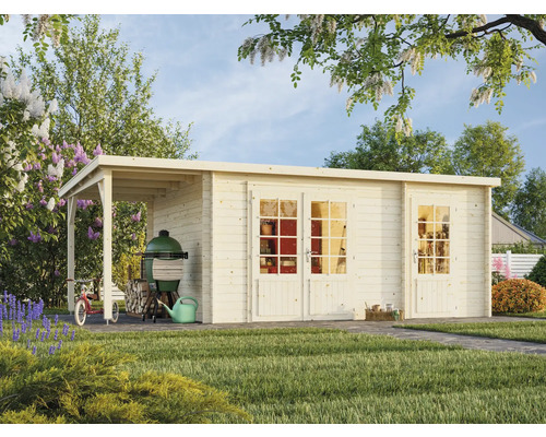 Abri de jardin avec barbecue, vélo et outils de jardin dans le jardin