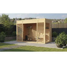 Abri de jardin en bois avec équipement d'entraînement dans le jardin