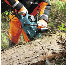 Eine Person sägt mit einer Akku-Kettensäge einen Baumstamm.