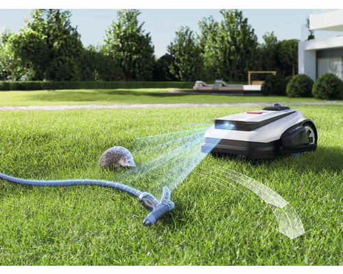 Rasenmähroboter mit Hinderniserkennung auf Rasen mit Igel und Gartenschlauch