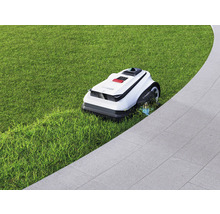Rasenmähroboter auf Rasenfläche neben gepflastertem Weg