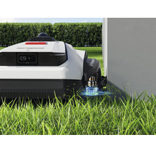 Rasenmähroboter bei der Rasenpflege an einer Kante