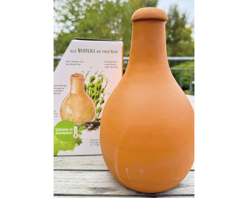 Bewässerungshilfe aus Terrakotta mit Produktverpackung im Hintergrund