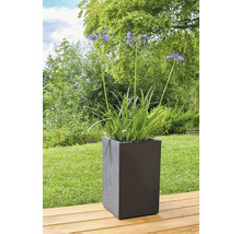 Fleurs dans une jardinière carrée à l'extérieur