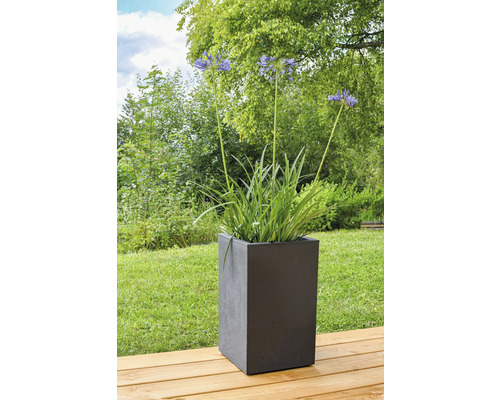 Fleurs dans une jardinière carrée à l'extérieur