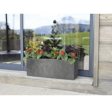 Rechteckiger Pflanzkasten mit Blumen vor einer Glastür