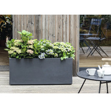 Blumenkasten mit Hortensien auf einer Terrasse