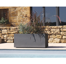 Rechteckiger Pflanzkasten mit Bepflanzung im Aussenbereich.