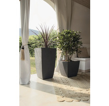 Arrangement décoratif avec deux plantes dans des pots gris sur une terrasse