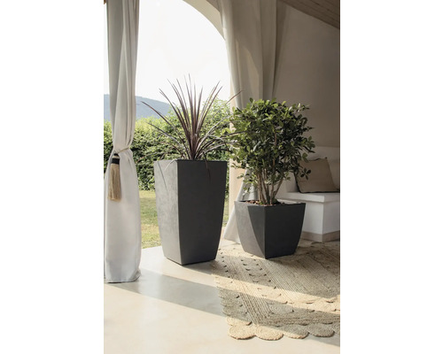 Arrangement décoratif avec deux plantes dans des pots gris sur une terrasse