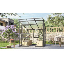 Gewächshaus mit Pflanzen im Garten