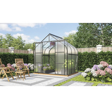 Gewächshaus mit Pflanzen und Gartenmöbeln im Garten