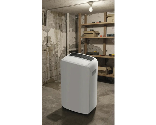 Weißer Luftentfeuchter in einem Kellerraum mit Regalen und Werkzeugen.