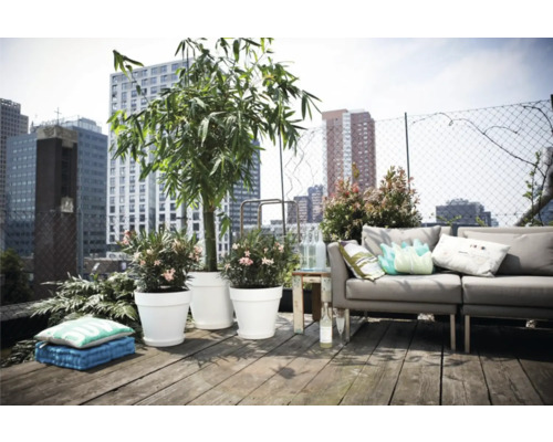 Toit-terrasse avec canapé gris, pots de fleurs et vue sur la ville