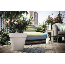 Scène de toit-terrasse avec plante en pot et mobilier de jardin
