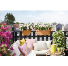 Balcon avec coin salon, coussins et jardinières plantées