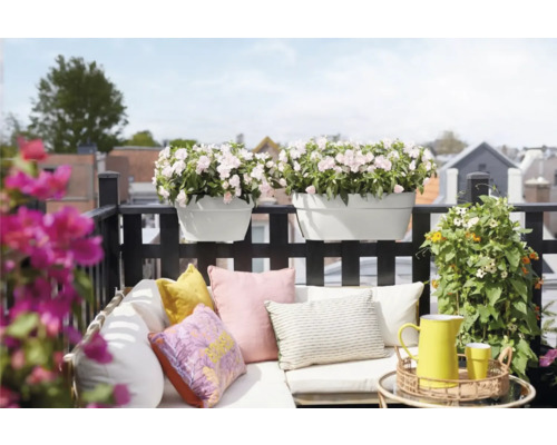 Scène de balcon avec jardinières, coussins et décoration sur un balcon.