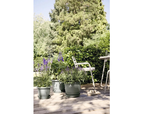 Fleurs en pots sur une terrasse en bois avec des meubles de jardin en arrière-plan.