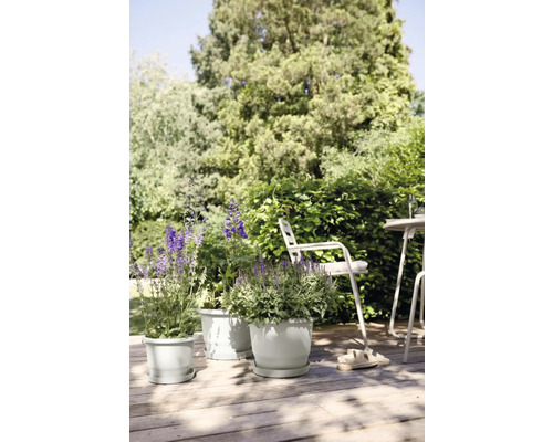 Szene mit drei Pflanzgefäßen mit blühenden Pflanzen auf einer Holzterrasse im Garten.