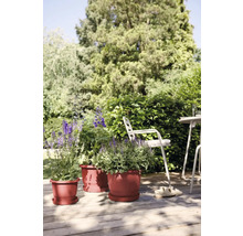 Terrassenszene mit Blumentöpfen und Gartenmöbeln