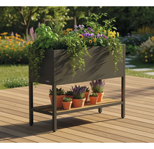 Jardinière surélevée avec diverses plantes et pots en terre cuite sur terrasse en bois