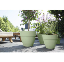 Scène avec jardinières plantées sur une terrasse