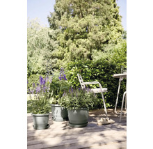 Vue de jardin avec des fleurs en pot sur une terrasse en bois