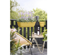 Szene auf einem Balkon mit Blumenkästen, Pflanzen und Beistelltisch mit Getränken.