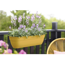 Gelber Blumenkasten mit lila blühenden Pflanzen auf einem Balkon.