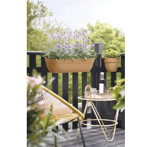 Scène avec jardinières et mobilier de jardin sur un balcon.