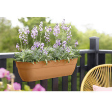 Jardinière avec des fleurs violettes sur un balcon
