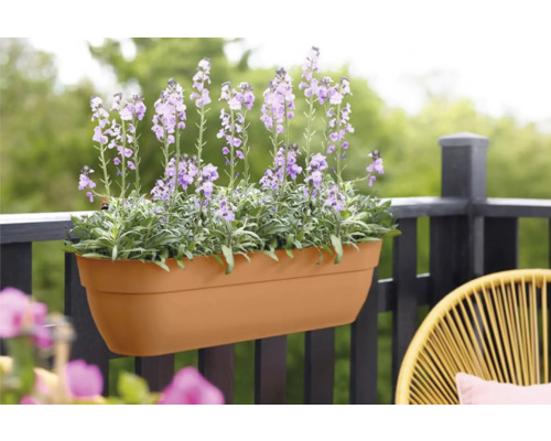 Jardinière avec des fleurs violettes sur un balcon