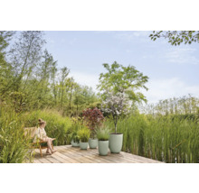 Aménagement paysager de jardin avec jardinières plantées sur une terrasse en bois
