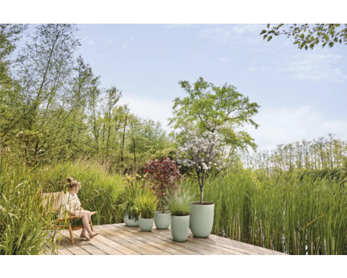 Aménagement paysager de jardin avec jardinières plantées sur une terrasse en bois